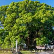 ヒメ日記 2025/10/27 10:35 投稿 戸田【エステ限定】 ファッションヘルス カリスマ