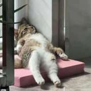 ヒメ日記 2025/10/29 22:05 投稿 戸田【エステ限定】 ファッションヘルス カリスマ