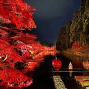 ヒメ日記 2025/11/10 21:25 投稿 戸田【エステ限定】 ファッションヘルス カリスマ