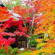 ヒメ日記 2025/11/22 22:11 投稿 戸田【エステ限定】 ファッションヘルス カリスマ