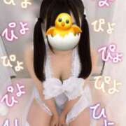 ヒメ日記 2025/08/03 14:57 投稿 41番　ひよこ マジックミラーGO