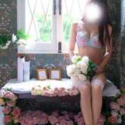 ヒメ日記 2025/08/27 09:27 投稿 はる MONTE(モンテ)