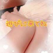 ヒメ日記 2026/01/20 08:24 投稿 まり 奥さまさくら京橋店