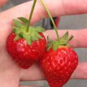 ヒメ日記 2026/02/26 08:54 投稿 まり 奥さまさくら京橋店