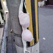 ヒメ日記 2025/01/18 14:47 投稿 しあん スッキリ！！日本橋店