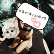 ヒメ日記 2025/06/17 21:19 投稿 しあん スッキリ！！日本橋店