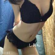 ヒメ日記 2025/11/04 12:00 投稿 しあん スッキリ！！日本橋店