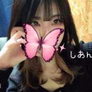 ヒメ日記 2025/11/12 11:59 投稿 しあん スッキリ！！日本橋店