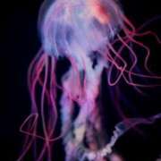 ヒメ日記 2026/03/13 23:27 投稿 しあん スッキリ！！日本橋店