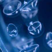 ヒメ日記 2026/03/24 23:07 投稿 しあん スッキリ！！日本橋店