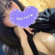 ヒメ日記 2026/04/13 12:05 投稿 しあん スッキリ！！日本橋店