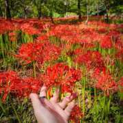 ヒメ日記 2025/09/29 09:14 投稿 峰岸-みねぎし MSC 妄想紳士倶楽部 鶯谷店