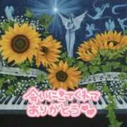 ヒメ日記 2024/08/04 20:54 投稿 あおか 丸妻 新横浜店