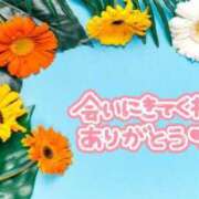 ヒメ日記 2024/08/16 05:44 投稿 あおか 丸妻 新横浜店