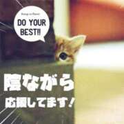 ヒメ日記 2025/01/06 00:33 投稿 あおか 丸妻 新横浜店