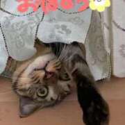 ヒメ日記 2025/01/11 06:45 投稿 あおか 丸妻 新横浜店