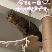 ヒメ日記 2025/01/27 23:41 投稿 あおか 丸妻 新横浜店