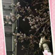 ヒメ日記 2025/03/02 14:45 投稿 あおか 丸妻 新横浜店