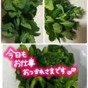 ヒメ日記 2025/03/26 18:25 投稿 あおか 丸妻 新横浜店