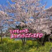 ヒメ日記 2025/04/13 13:36 投稿 あおか 丸妻 新横浜店