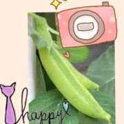 ヒメ日記 2025/04/22 18:12 投稿 あおか 丸妻 新横浜店