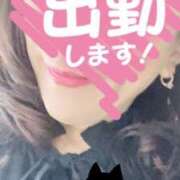 ヒメ日記 2025/04/25 09:30 投稿 あおか 丸妻 新横浜店