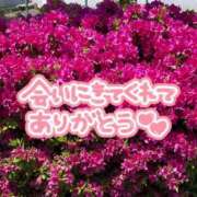 ヒメ日記 2025/04/27 20:21 投稿 あおか 丸妻 新横浜店