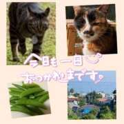 ヒメ日記 2025/05/09 22:46 投稿 あおか 丸妻 新横浜店