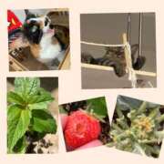 ヒメ日記 2025/06/25 08:57 投稿 あおか 丸妻 新横浜店