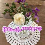 ヒメ日記 2025/06/29 03:48 投稿 あおか 丸妻 新横浜店