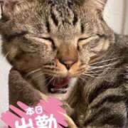 ヒメ日記 2025/08/29 08:56 投稿 あおか 丸妻 新横浜店