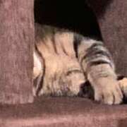 ヒメ日記 2025/10/02 05:45 投稿 あおか 丸妻 新横浜店