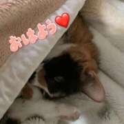 ヒメ日記 2025/10/23 07:48 投稿 あおか 丸妻 新横浜店