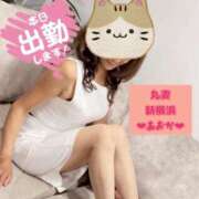 ヒメ日記 2025/10/25 08:19 投稿 あおか 丸妻 新横浜店