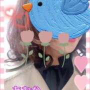 ヒメ日記 2025/10/28 08:20 投稿 あおか 丸妻 新横浜店