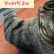 あおか 今月のシフト 丸妻 新横浜店