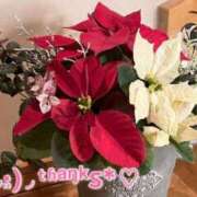 ヒメ日記 2025/12/27 09:51 投稿 あおか 丸妻 新横浜店