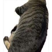 ヒメ日記 2025/12/27 11:33 投稿 あおか 丸妻 新横浜店