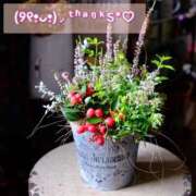 ヒメ日記 2025/12/28 07:34 投稿 あおか 丸妻 新横浜店