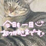 ヒメ日記 2026/01/29 20:31 投稿 あおか 丸妻 新横浜店