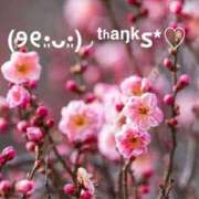 あおか お礼 丸妻 新横浜店