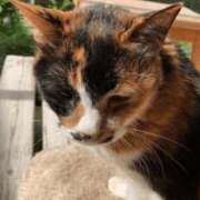 ヒメ日記 2026/03/26 21:00 投稿 あおか 丸妻 新横浜店