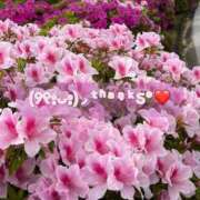 ヒメ日記 2026/04/26 13:35 投稿 あおか 丸妻 新横浜店