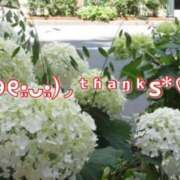 ヒメ日記 2026/06/14 08:12 投稿 あおか 丸妻 新横浜店