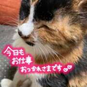 ヒメ日記 2026/07/29 20:56 投稿 あおか 丸妻 新横浜店
