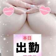 ヒメ日記 2025/05/30 13:57 投稿 けいこ奥様 金沢の20代30代40代50代が集う人妻倶楽部