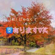 ヒメ日記 2025/11/11 17:33 投稿 けいこ奥様 金沢の20代30代40代50代が集う人妻倶楽部