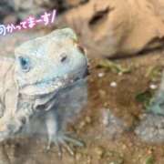 ヒメ日記 2024/08/02 15:49 投稿 ゆずは ハピネス東京