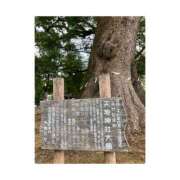 ヒメ日記 2025/03/16 09:27 投稿 ゆずは ハピネス東京