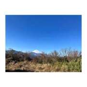 ヒメ日記 2025/03/23 12:27 投稿 ゆずは ハピネス東京